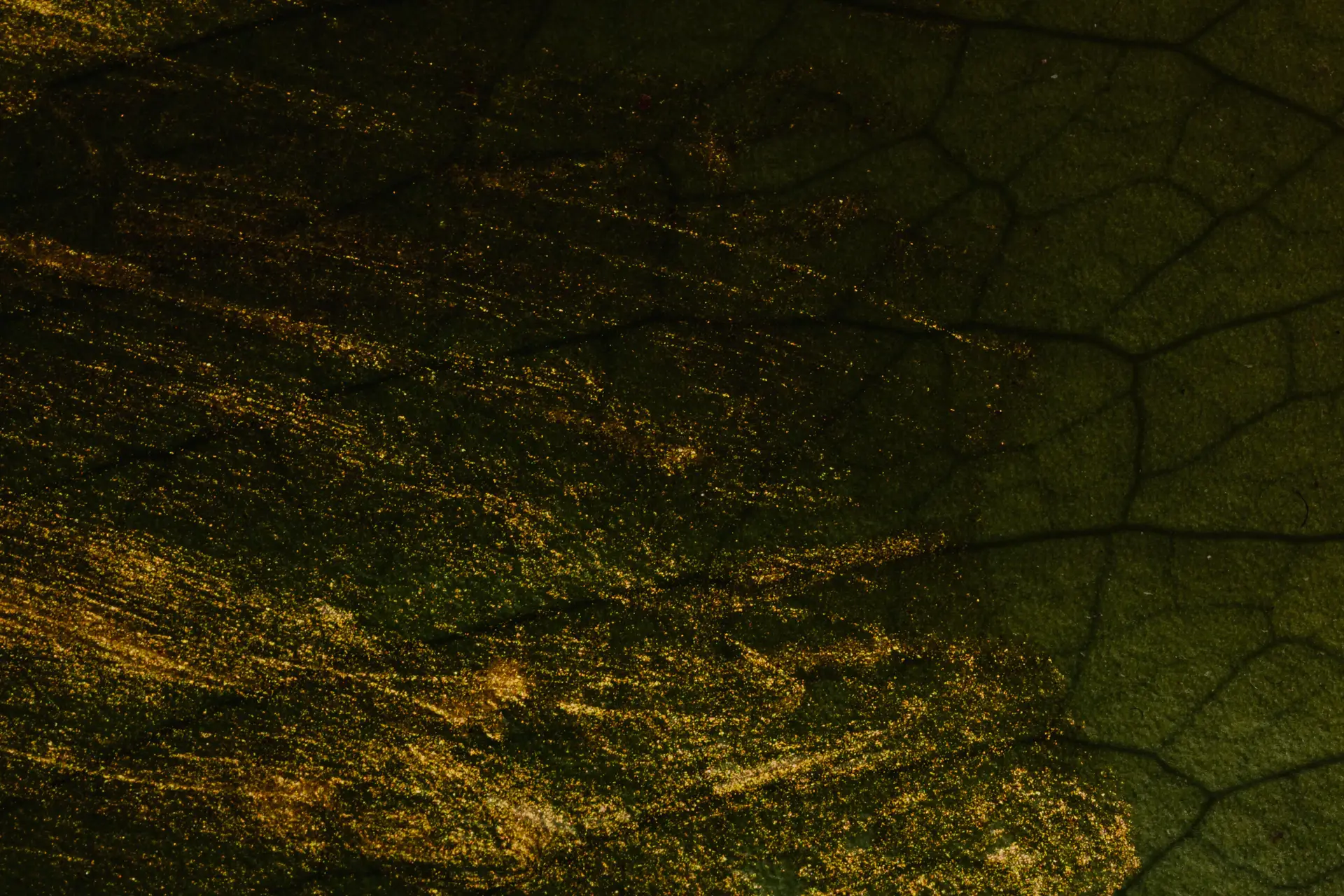 Luxury gold and emerald texture